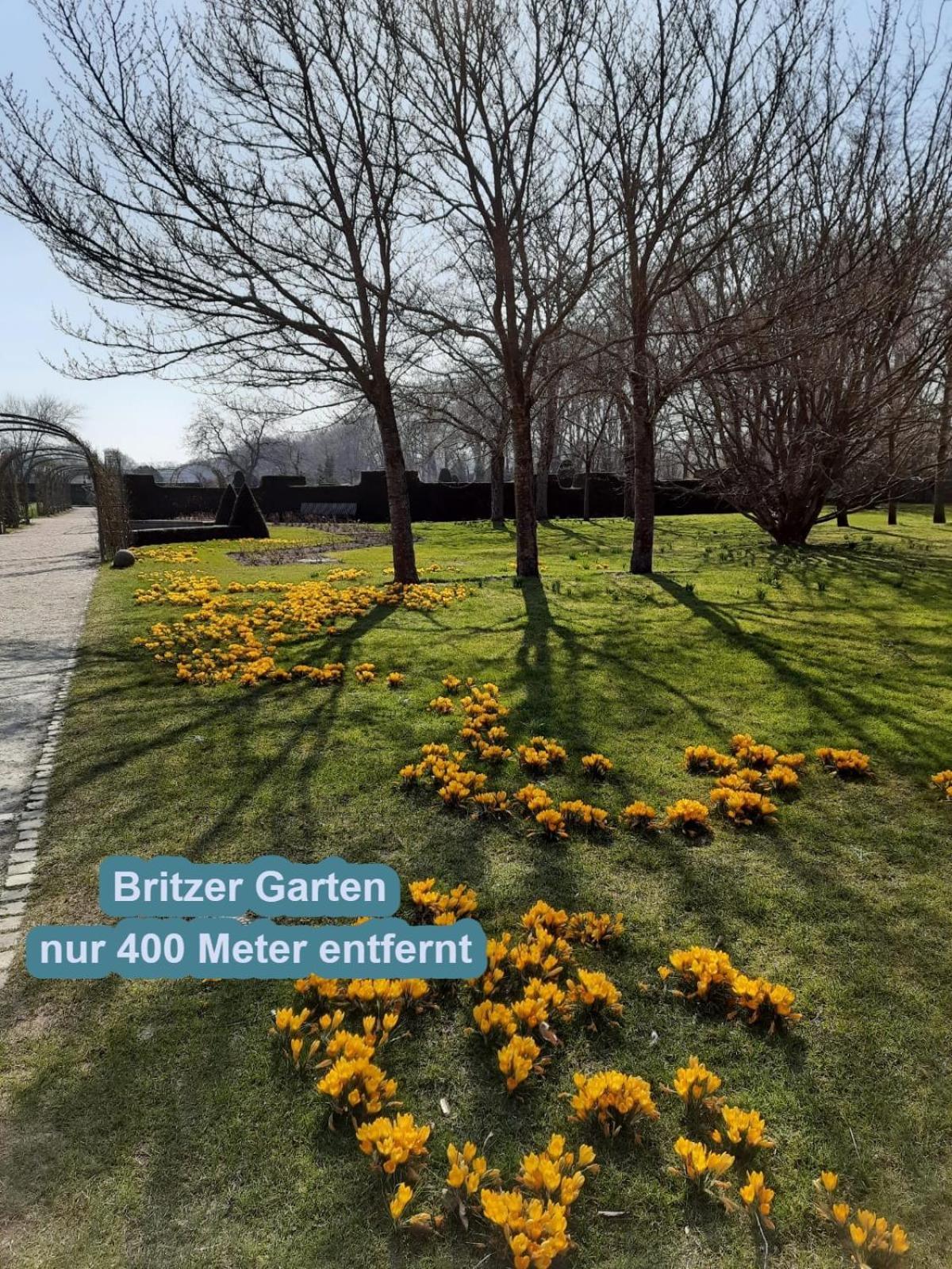 4 Sterne Souterrain Apartment Alt-Mariendorf Berlin Luaran gambar